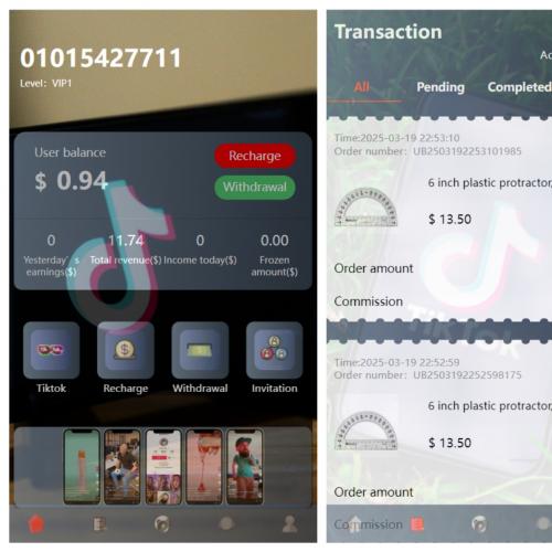 出海海外刷单多语言tiktok抢单源码+搭建教程