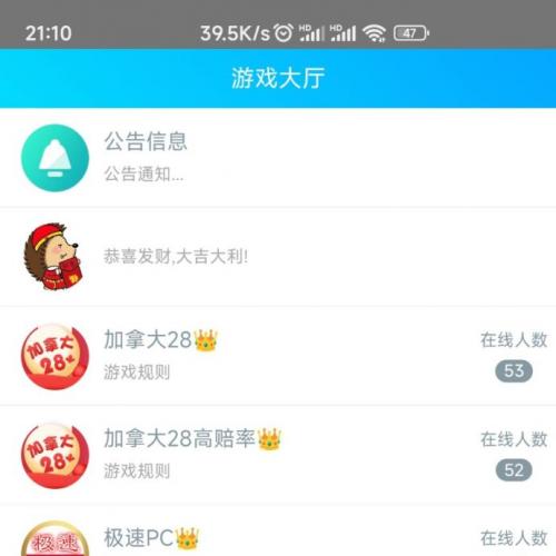 飞鸟旗舰28