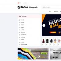 tiktok商城+落地页源码 带搭建教程